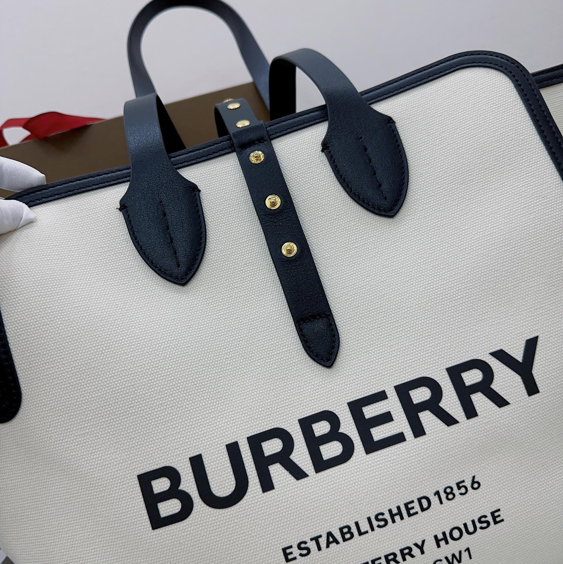 Burberry Shopping Bags